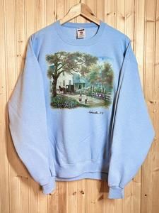 Asheville NC Graphic Crewneck Sweatshirt Powder Blue Scene Jerzees sz L
